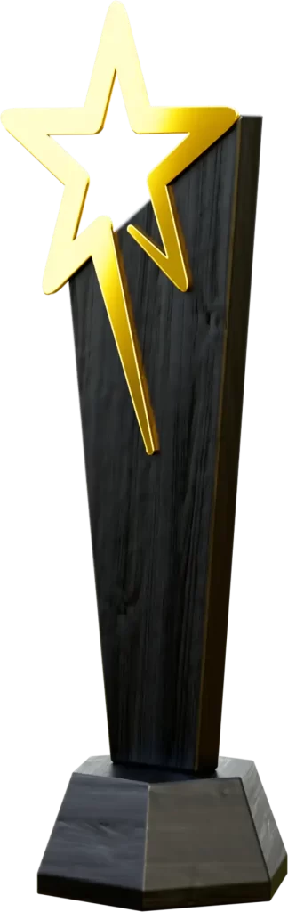 gold metal star with black wood eco-friendly awards and recycled gift ideas