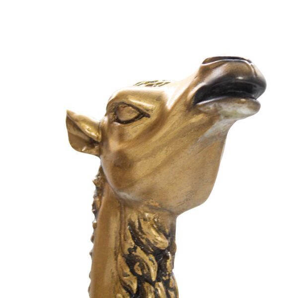 Arabian Camel Bust