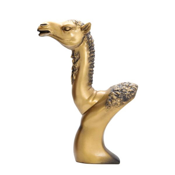 Arabian Camel Bust