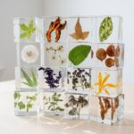 A stacked grid of perfectly clear epoxy resin cubes, each encapsulating a unique botanical specimen including green leaves, a whole dandelion, seeds, and small flowers.