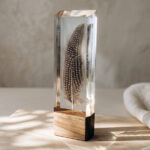 A tall, clear epoxy resin block encapsulating a delicate spotted bird feather, mounted on a wooden base in bright sunlight.
